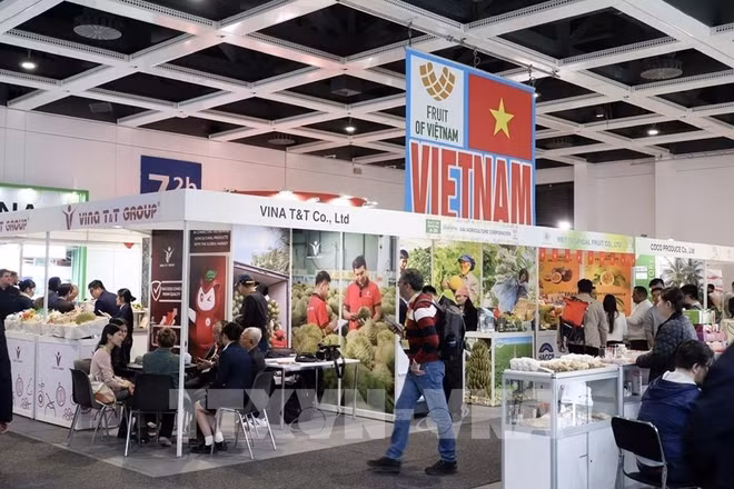 233602-doanh-nghiep-viet-nam-tim-co-hoi-mo-rong-thi-truong-tai-fruit-logistica-2026-duc.jpg