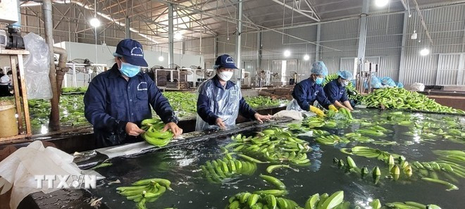 附图。图自越通社 viet-nam-hoa-ky-phan-2-19.jpg