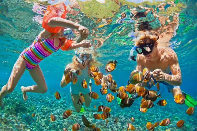 游客欣赏珊瑚。图自越通社 1105phuquoc2.jpg