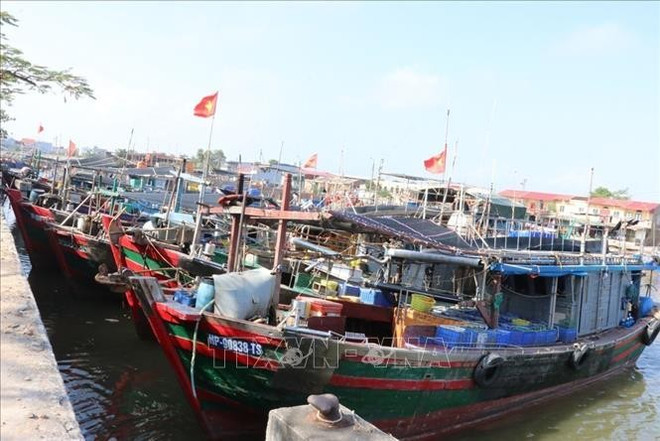 the-vang-iuu-hai-phong.jpg