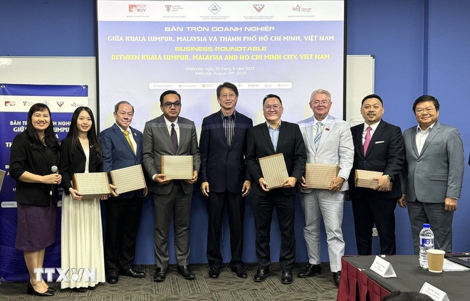 与会代表合影。图自越通社 2708-vn-malay.jpg