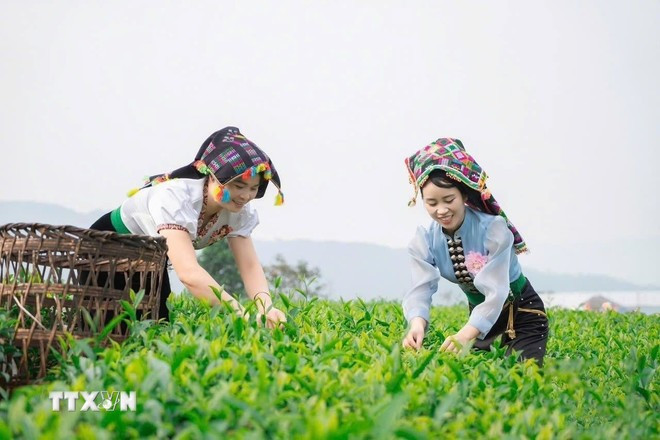 莱州省帮助贫困户迎难而上、实现可持续脱贫。图自越通社 linh-hoat-cac-giai-phap-dua-lai-chau-vung-buoc-vao-ky-nguyen-moi-0109-4.jpg