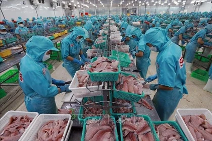 资料图。图自越通社