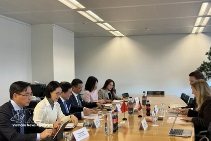 越南与瑞士代表团举行双边会晤。图自越通社