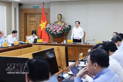 政府副总理胡国勇主持会议。图自越通社