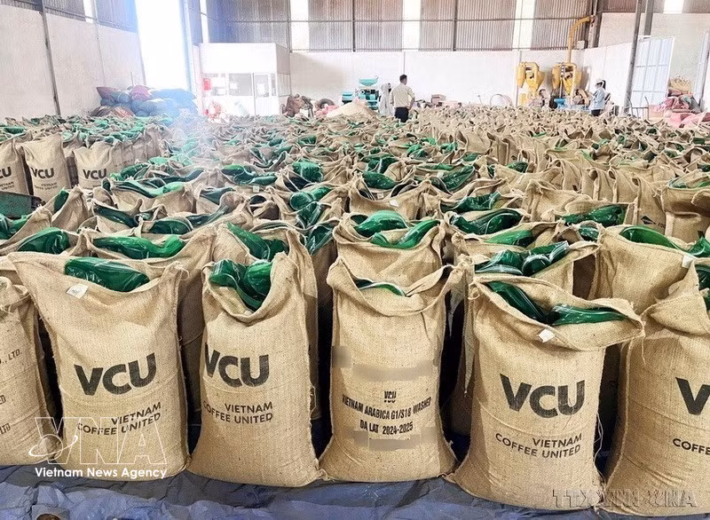 越南联合咖啡股份公司（Gia Lai）高质量罗布斯塔生咖啡产品，出口至世界多国。图自越通社