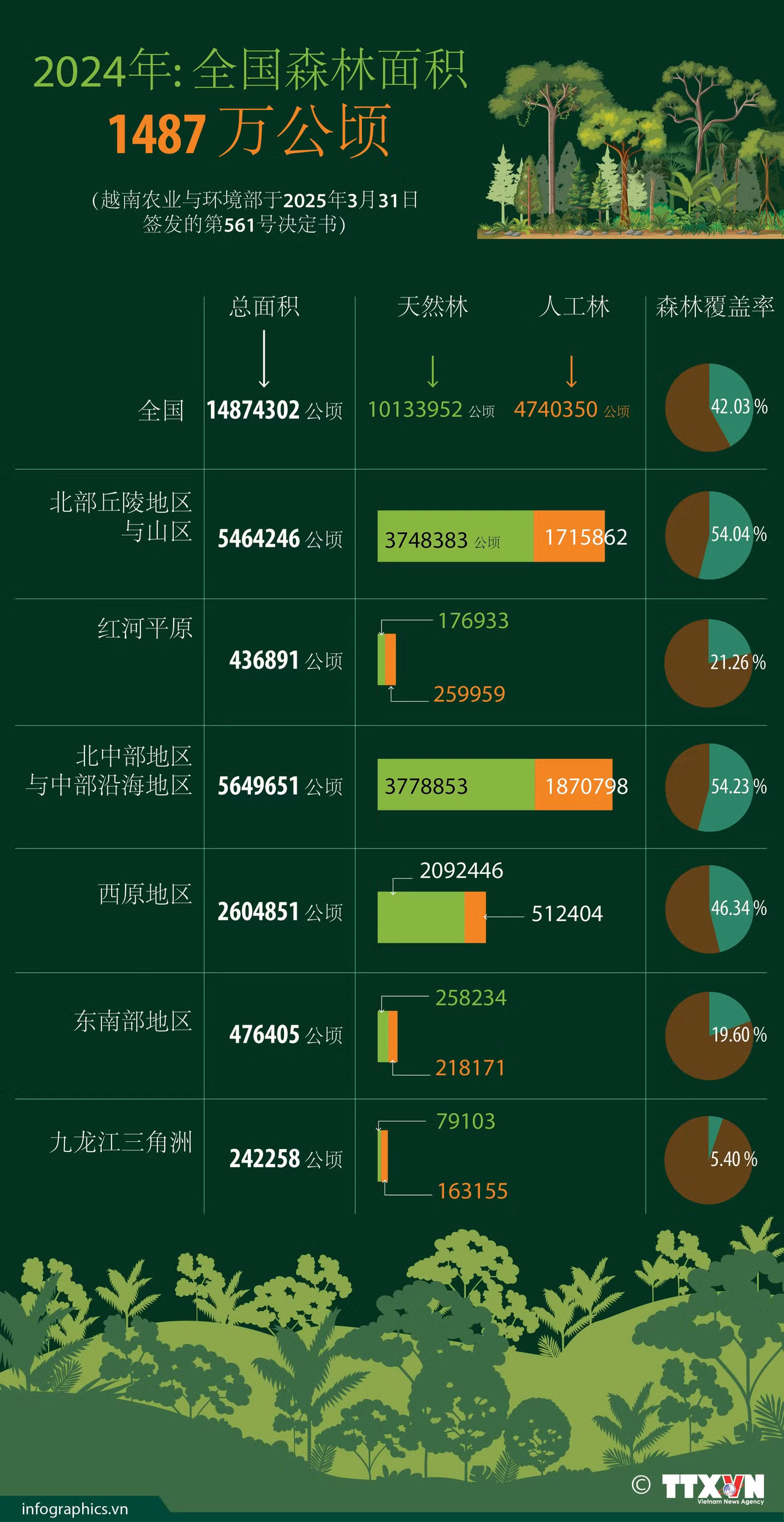 22042025-rung-vn-ruby.jpg