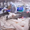 越南出口至加拿大的查鱼片。图自越通社