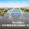 雄伟的泾阳王大桥飞架杜河之上，不仅是顺城日新月异发展的缩影，更是连接历史与现代、将这片热土与世界紧密相连的“跃动之桥”。图自越通社