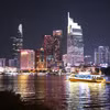 胡志明市夜景。图自越通社