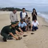 这三只海龟在职能力量、当地民众及游客的共同见证下，被成功放归大自然。图自越通社