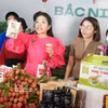 线上推广北宁省荔枝及OCOP产品。图自越通社