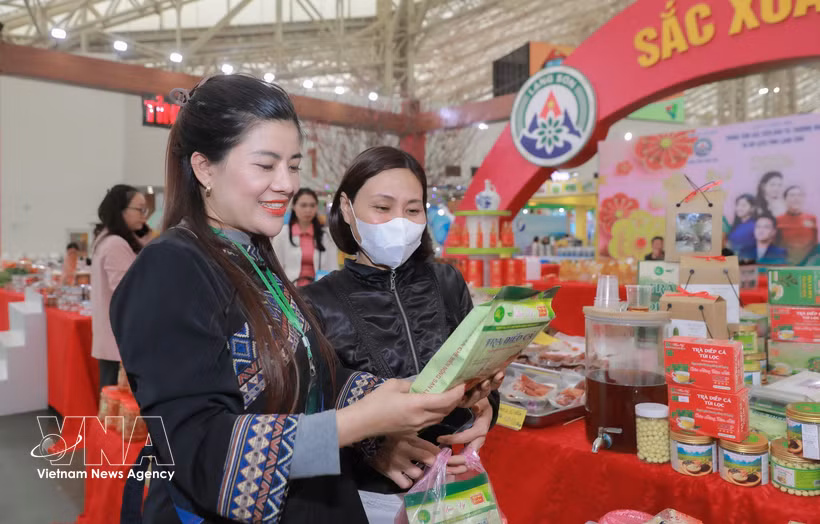 谅山省展位。图自越通社