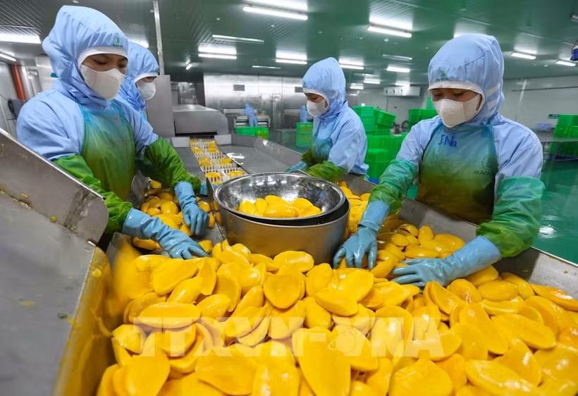 附图 图自越通社