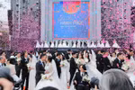 活动亮点之一是名为“爱即幸福”的80对新人集体婚礼。图自越通社