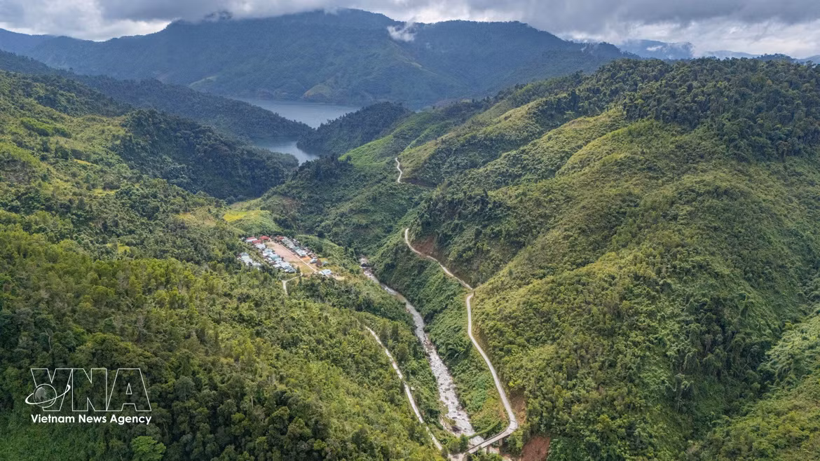 岘港：唤醒园林业与山区经济价值