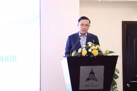 胡志明市贸易投资促进中心副主任黎英黄在会上发表讲话。图自越通社