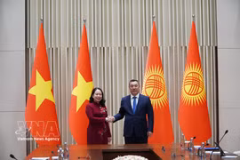 越南国家副主席武氏映春会见吉尔吉斯斯坦总统萨德尔·扎帕罗夫。图自越通社