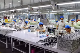 广宁省海河Texhong工业区一家生产厂。图自越通社