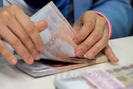 附图。图自法新社/越通社