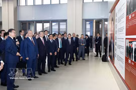 越共中央总书记、国家主席苏林参观考察河北省雄安新区起步区。图自越通社