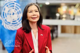 联合国驻越南常驻协调员宝琳·塔梅西斯接受越通社记者采访。图自越通社