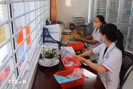 同塔省一卫生院医务人员在医疗保险电子系统上处理前来就诊患者的信息。图自越通社