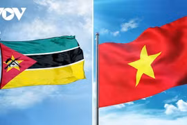 越莫两国国旗。图自《越南之声》