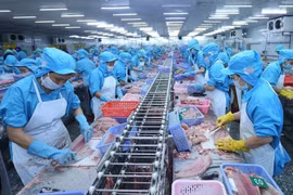 附图 图自越通社