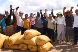 AgriVMA公司代表、越古两国工程师、古巴农民庆祝稻谷丰收。图自越通社