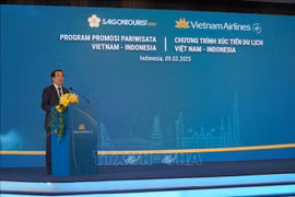 越南国家旅游局副局长何文超在旅游促进会上发表讲话。图自越通社