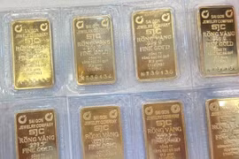 附图 图自越通社