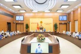 会议讨论越南国籍法草案的两项主要政策。图自dantri.com.vn