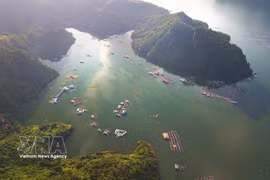 和平水电站库区（富寿省）湖水碧绿清澈、景观雄伟，成为游客不容错过的目的地。图自越通社
