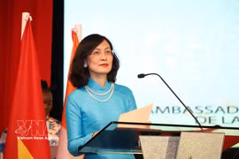 越南驻摩洛哥特命全权大使黎金规。图自越通社