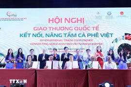 得乐省企业与国际组织、企业之间的合作协议签字仪式。图自越通社