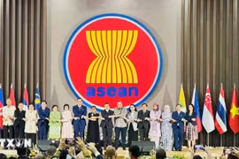 东盟秘书长和各国常驻东盟代表团大使。图自越通社