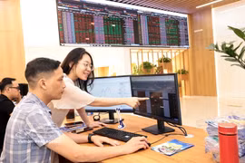 客户在保越证券公司总部进行交易。图自越通社