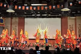  顺化宫廷雅乐表演。图自越通社