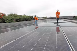Maxport Limited（越南）公司在太平省投建的太阳能发电系统，为环境保护做出贡献。图自越通社