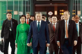 苏林总书记和夫人在新加坡樟宜机场。图自越通社