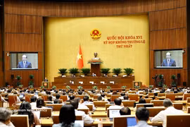 第十六届国会第一次非常规会议。图自越通社