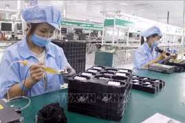 为促进人工智能和半导体产业的发展，越南将聚焦多个关键举措，降低企业和民众的成本，减少行政审批，精简不必要的行政手续。图自越通社
