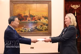 2026年10月3日，在河内，越共中央总书记、国家主席苏林接受丹麦王国驻越大使莉娜·甘德勒瑟·汉森递交国书。图自越通社