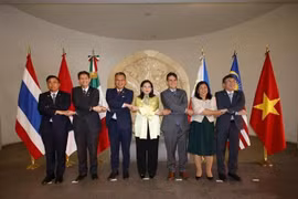 东盟各国驻墨西哥大使与墨西哥外交部副部长玛丽亚·特雷莎·梅尔卡多合影。图自越通社