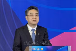 中国—东盟中心秘书长史忠俊。图自越通社