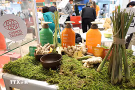 越南企业展出的产品。图自越通社