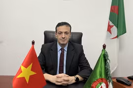 阿尔及利亚与越南关系前景广阔 大有可为