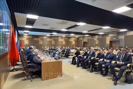 越俄建交75周年纪念研讨会在圣彼得堡举行。组委会供图