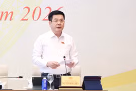国会副主席阮鸿延在会议上发表讲话。图自越通社